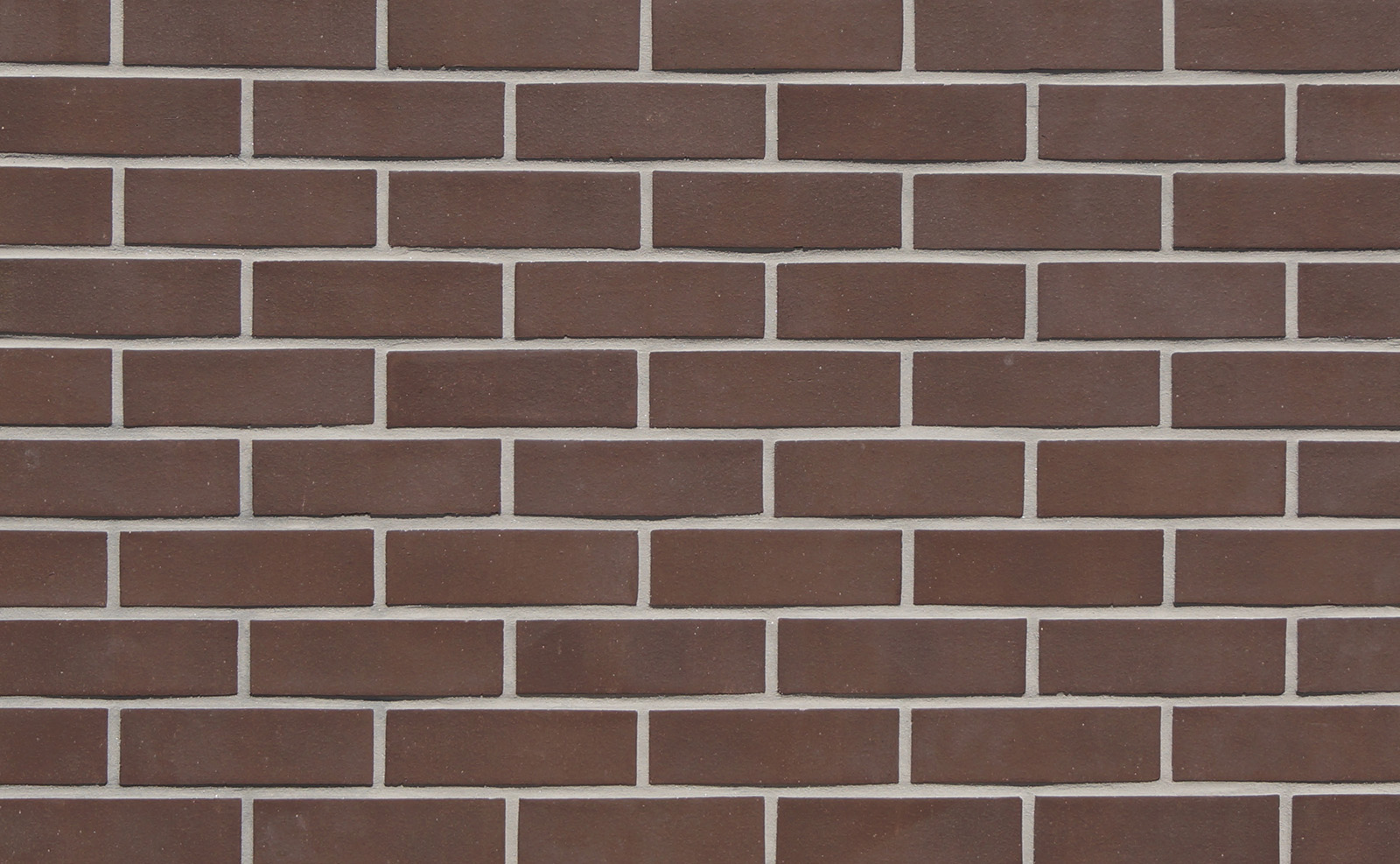 Sepia DieskinWeb