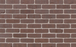 Arcadian-Cropped-1200px